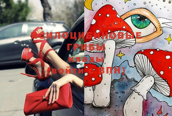 альфа пвп Дмитров